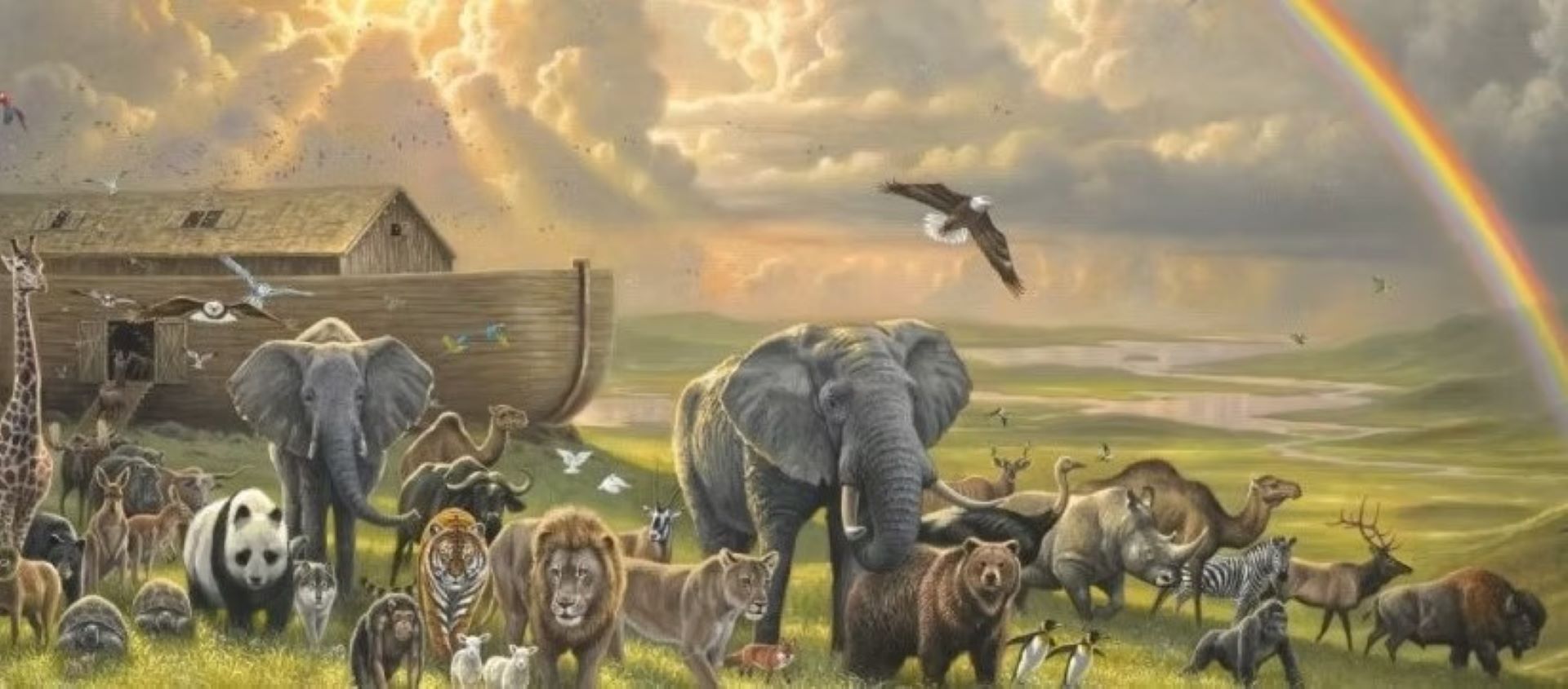 Noah's ark, the start