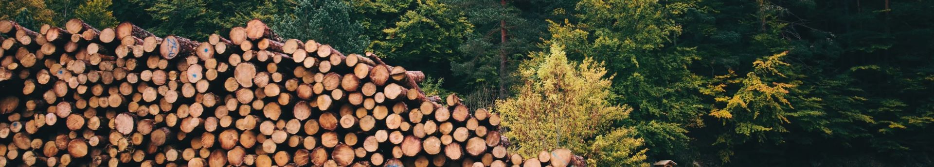 ARTIK AĞAÇ KESME, ARAZİ AÇMA